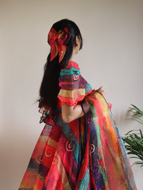 Shady Rainbow Anarkali