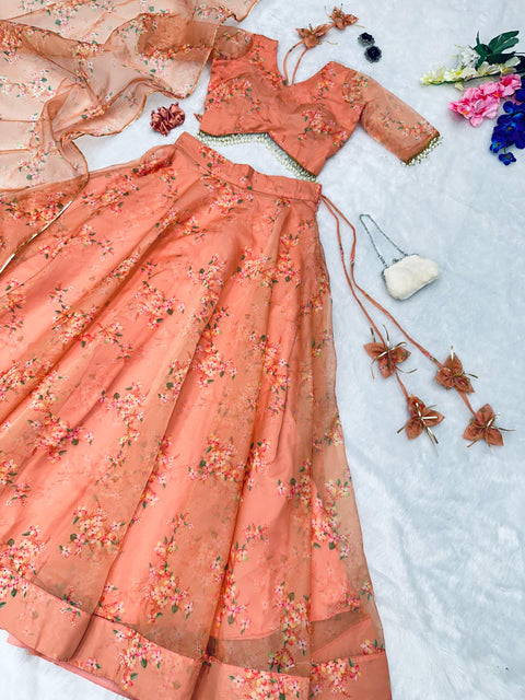 Organza Silk beautiful Lehenga Choli