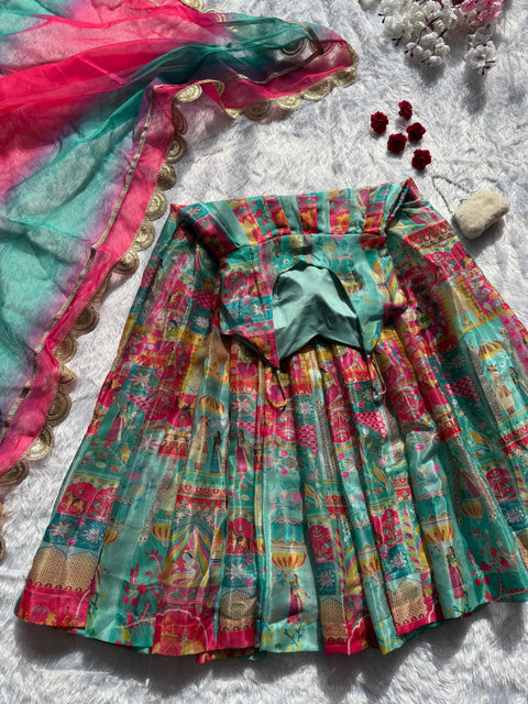 Traditional fit Anarkali Gown